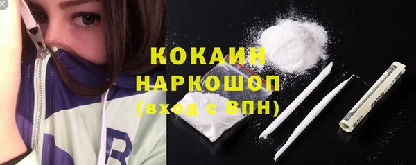 гидра Верхний Тагил