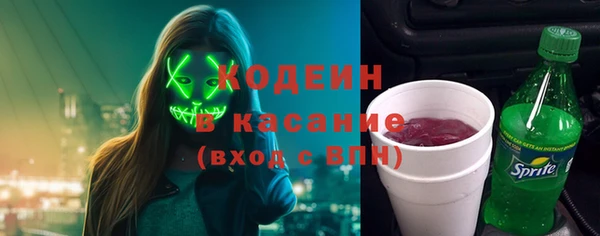 гидра Верхний Тагил