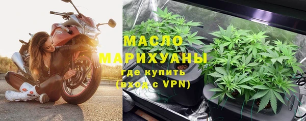 гидра Верхний Тагил