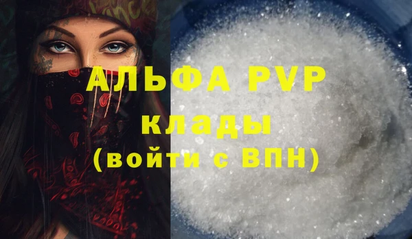 гидра Верхний Тагил