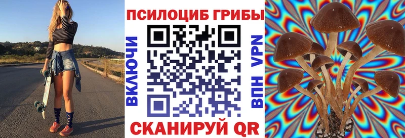Купить закладки  Краснознаменск  Псилоцибиновые грибы Psilocybine cubensis 